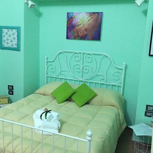 B&B Piantanova